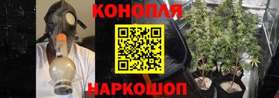 стаф Бузулук