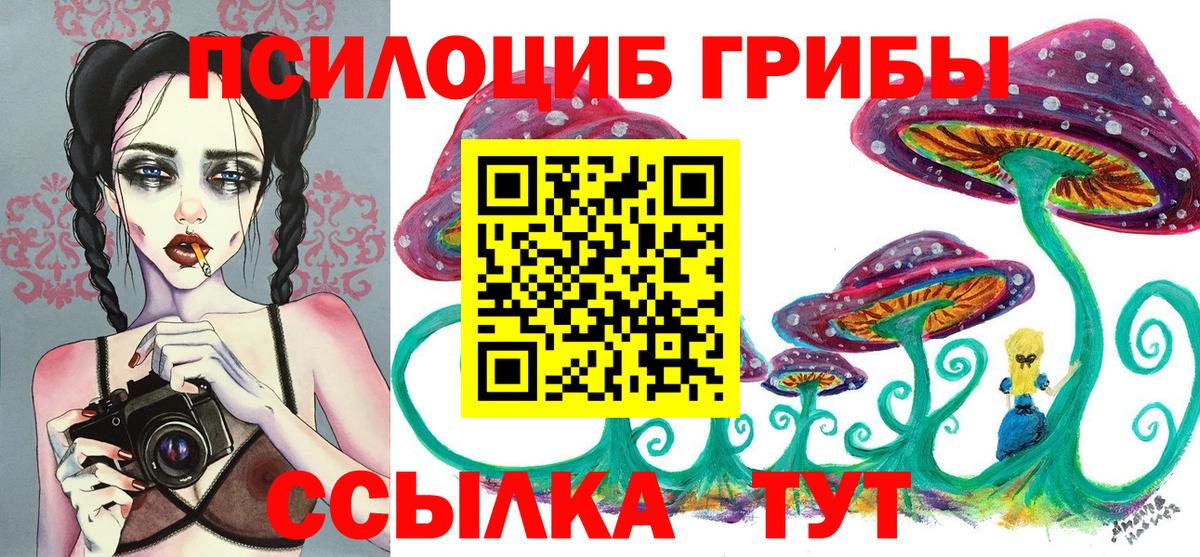 Шадринск  Псилоцибиновые грибы Psilocybine cubensis  Галлюциногенные грибы мухоморы  Вход с VPN 