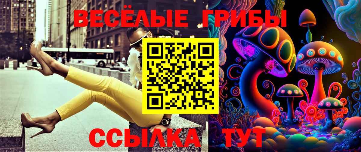 Псилоцибиновые грибы прущие грибы Шадринск